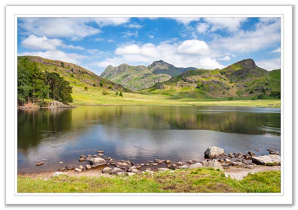 Blea Tarn in Summer 2