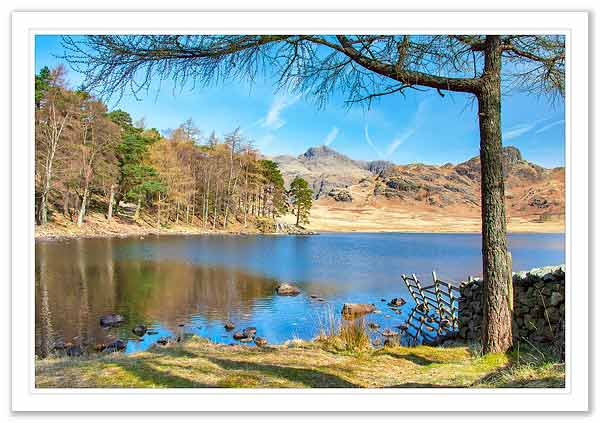 Blea Tarn in summer 3