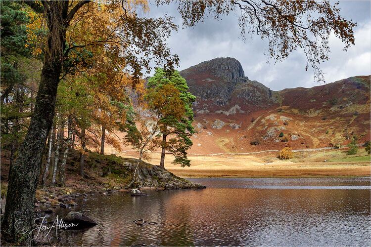 Blea Tarn, Little Langdale