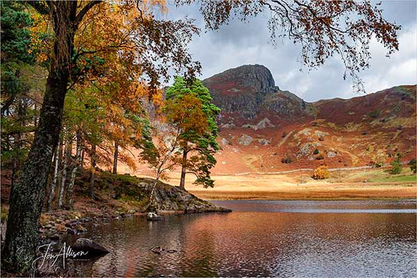 Blea Tarn, Little Langdale