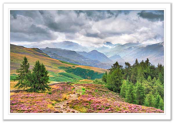 Borrowdale from Walla Crag