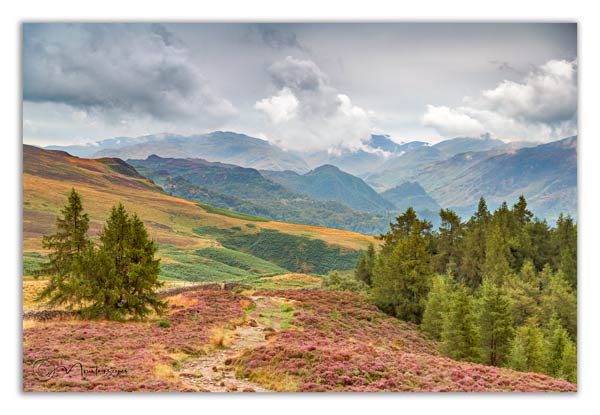 Borrowdale from Walla Crag