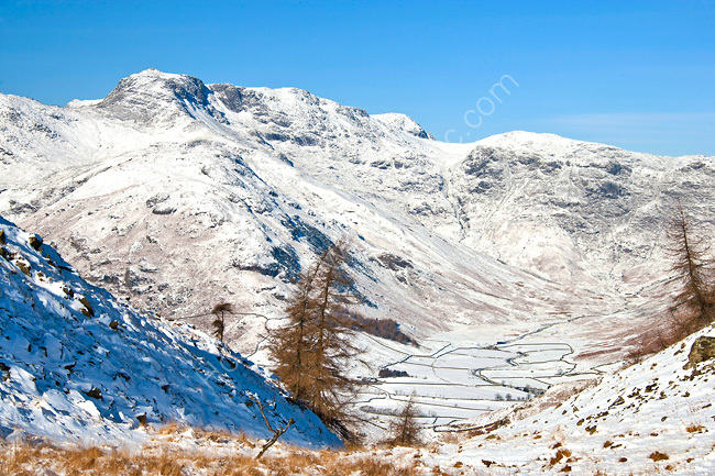 Bowfell from Lingmoor Fell