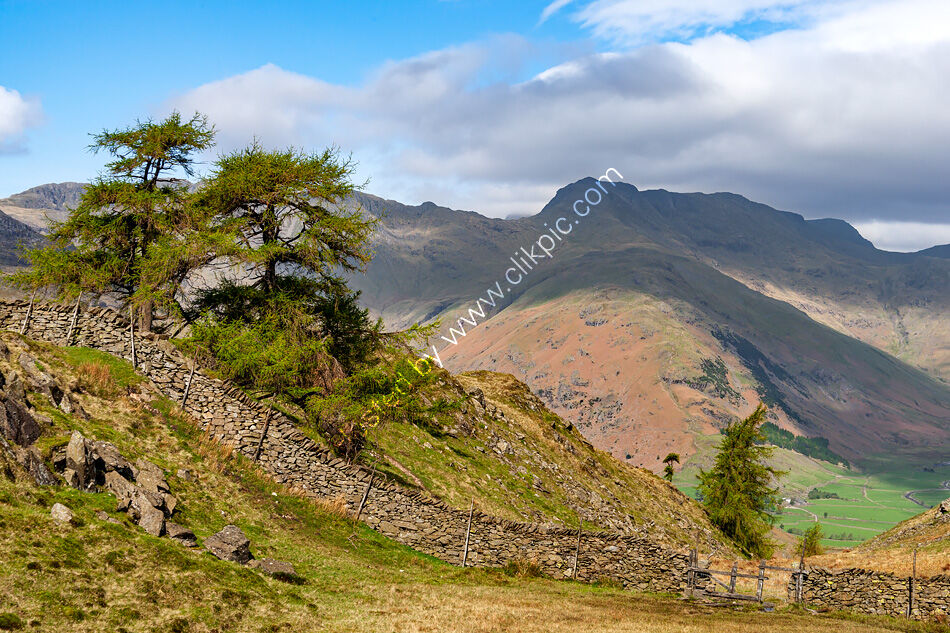 Bowfell in the distance