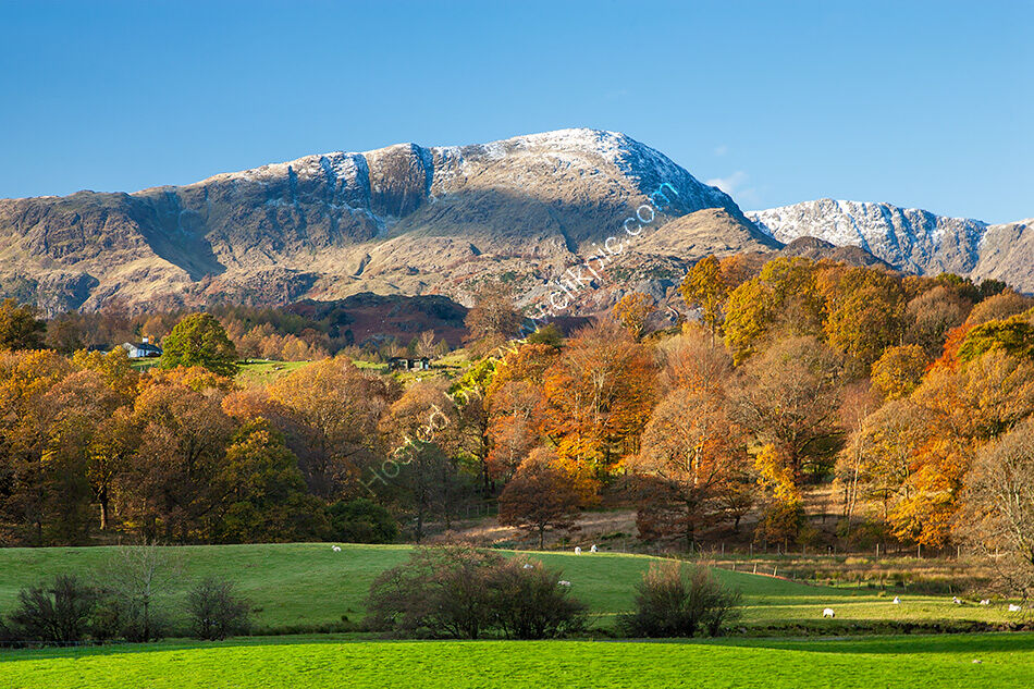 Wetherlam from Langdale