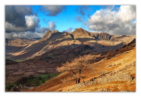Langdale Pikes from Lingmoor Fell