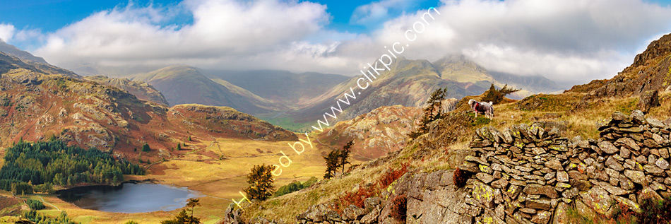 Langdale from Lingmoor Fell