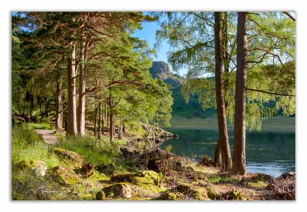 Summer at Blea Tarn, Little Langdale
