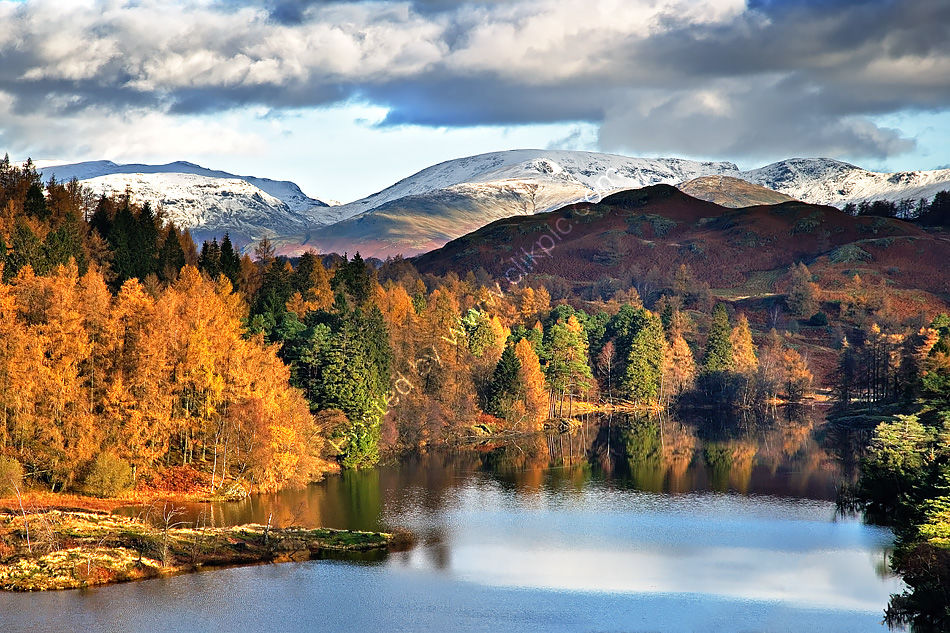 Tarn Hows in Autumn 6