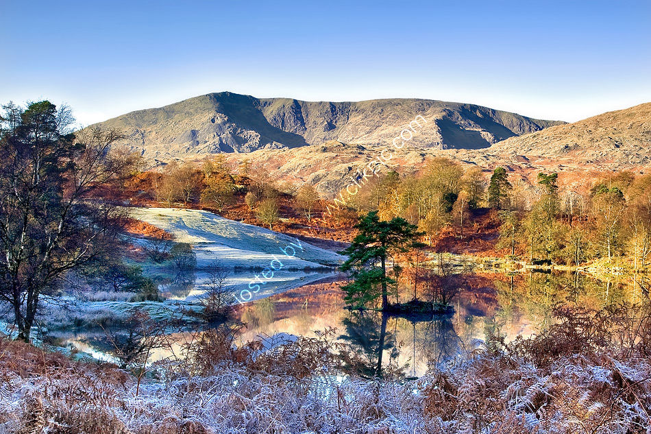 The Coniston Fells over Tarn Hows