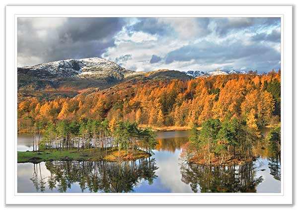 Tarn Hows in Autumn 7