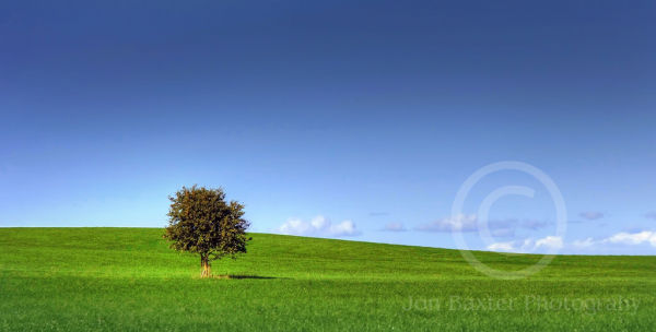 Blue And Green