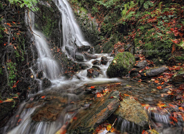 Colours Of Autumn.....