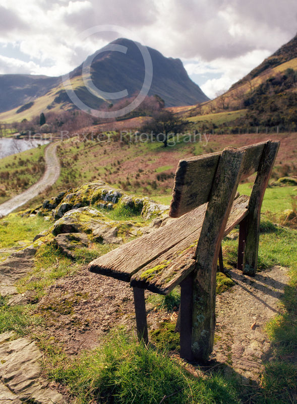Old Weathered Bench