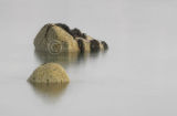 Tranquility .....