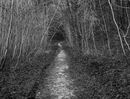 'The footpath'
