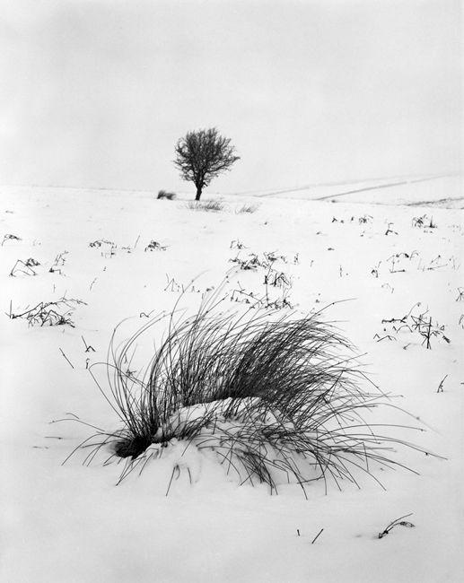 'Snow Peaks'