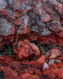 'Rock Study'