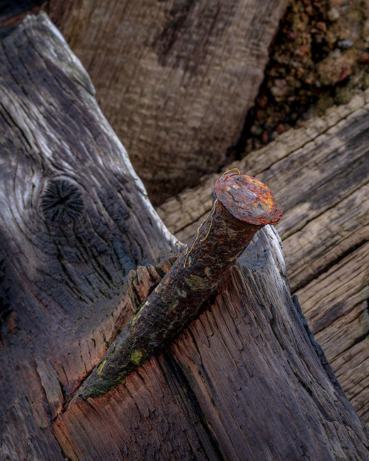 ‘Nailed’
