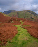 ‘Paths towards Robinson’