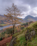 ‘Buttermere’
