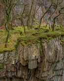 'Quarry #2''