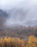 'Looking up to High Crag'