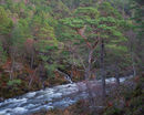 20200126-71GFX-50Suntitled-shoot-Pano-copy