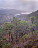 20200130-87GFX-50Sthurs-HDR-Pano-Edit-copy