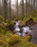 20200131-123GFX-50Suntitled-shoot-HDR-Pano-Edit-2-copy