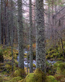 20200131-51GFX-50Suntitled-shoot-HDR-Pano-Edit-copy