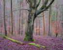 20200216-12GFX-50Smil-copy