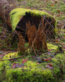 20200216-1GFX-50Smil-copy
