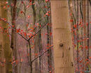 20200216-28GFX-50Smil-copy