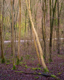 20200216-31GFX-50Smil-copy