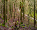 20200216-35GFX-50Smil-copy