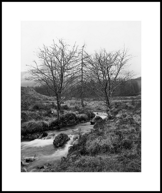 Etive trio