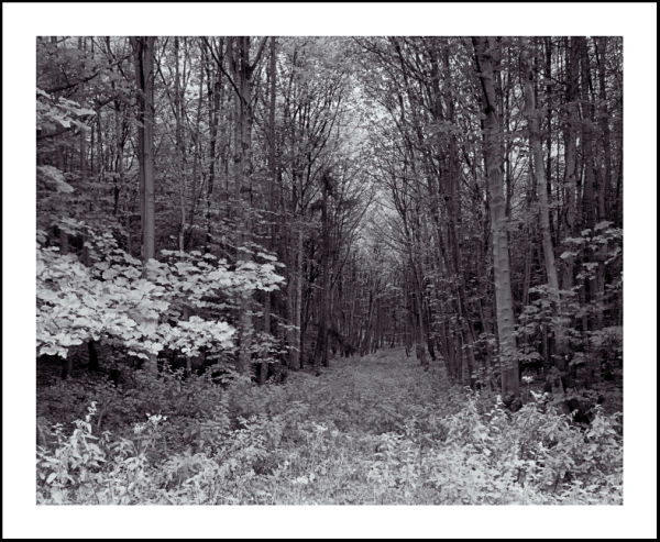 'Tundale'