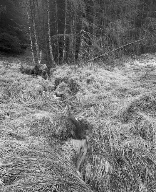 'Etive Stream'