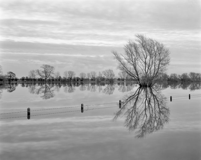 'Weldrake Ings'