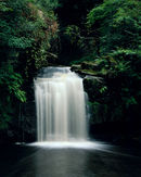 'Thomason Foss Falls'