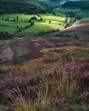 'Spotlight on Horcum'