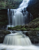 'Scalebar Force'