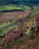'The Hole of Horcum'