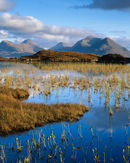 'Blue Lochan'