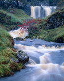 'Rowan Tree Falls'