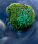R0109v-moss-boulder ll 08 p-copy