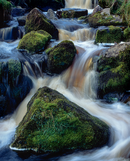'Dales Stream'