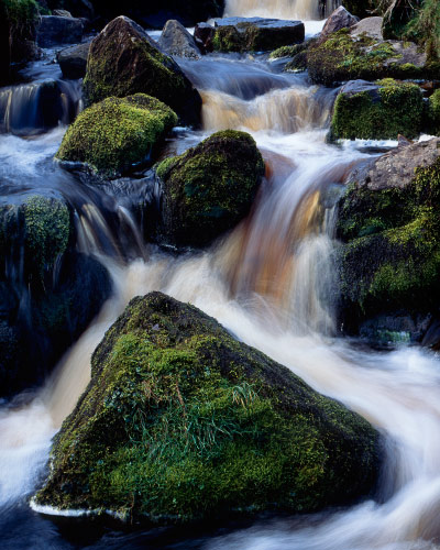 'Dales Stream'