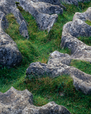 'Patterns at Malham'